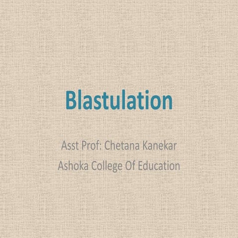 Blastulation
