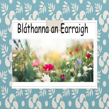 Blathanna an Earraigh | PPT