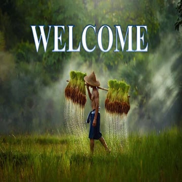 Bacterial Leaf Blightof  Rice by SACHIN R KONDAGURI.pptx