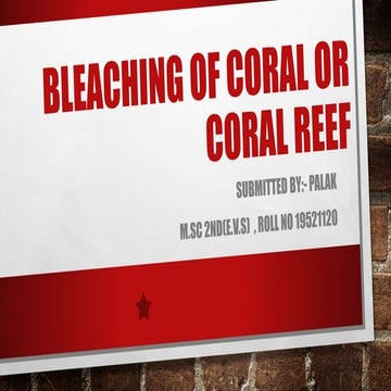 Bleaching of coral reefs ( palak )