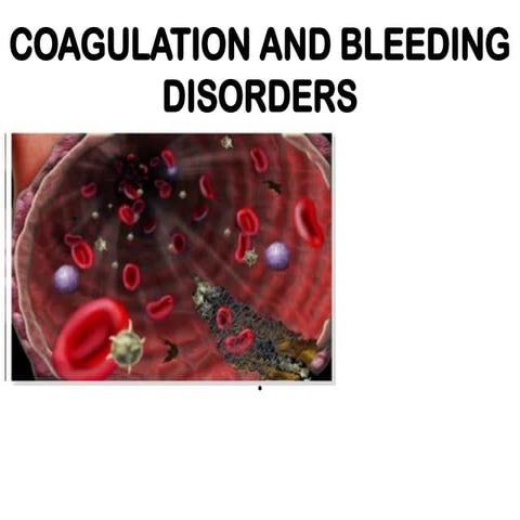 Bleeding Disorders presentation at Bwera regional referral hospital.pptx