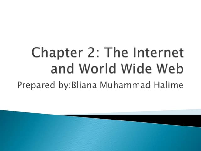 Bliana Chap 02 Internet