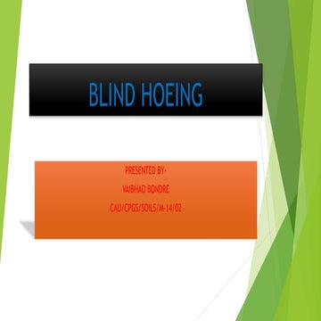 Blind hoeing