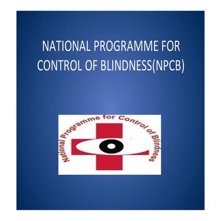 BLINDNESS program ppt 
