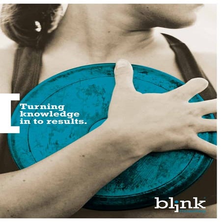 Blink Consulting Presentation 2011