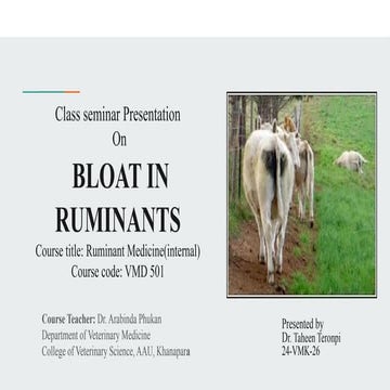 A class seminar on Bloat in ruminants.pptx