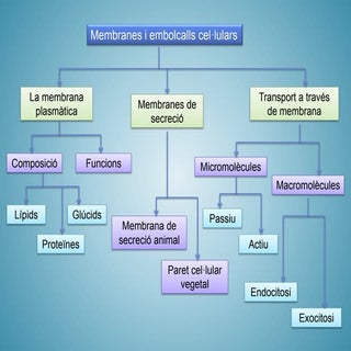 Biologia PAU. Cèl·lula. Membranes i...