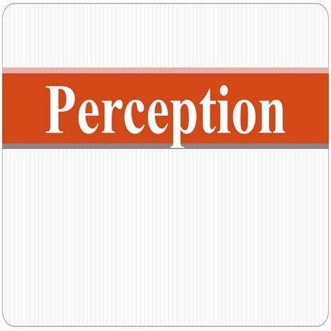 PERCEPTION