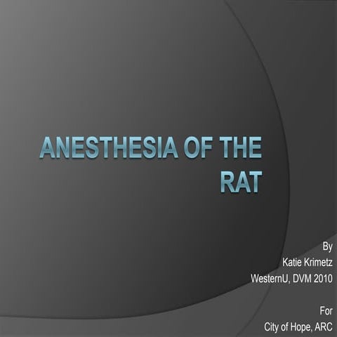 Rat Anesthesia