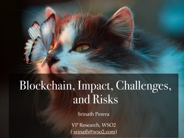 Blockchain, Impact, Challenges, and Risks