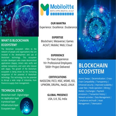 Blockhain Ecosystem Development