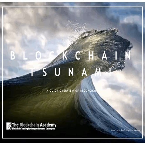 Blockchain Tsumani - Chicago May 2017