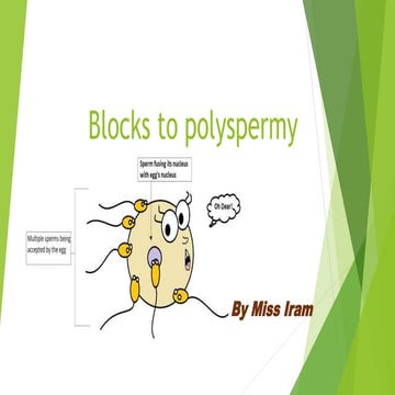 block to polyspermy.pptx