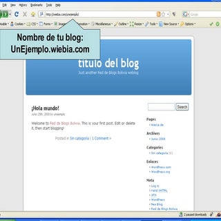 Usar mi blog (1)