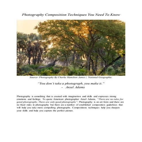 Blog 4- photography composition (1)