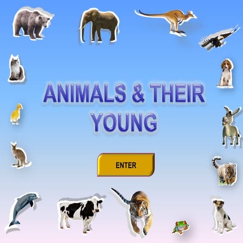 Animals & Their young