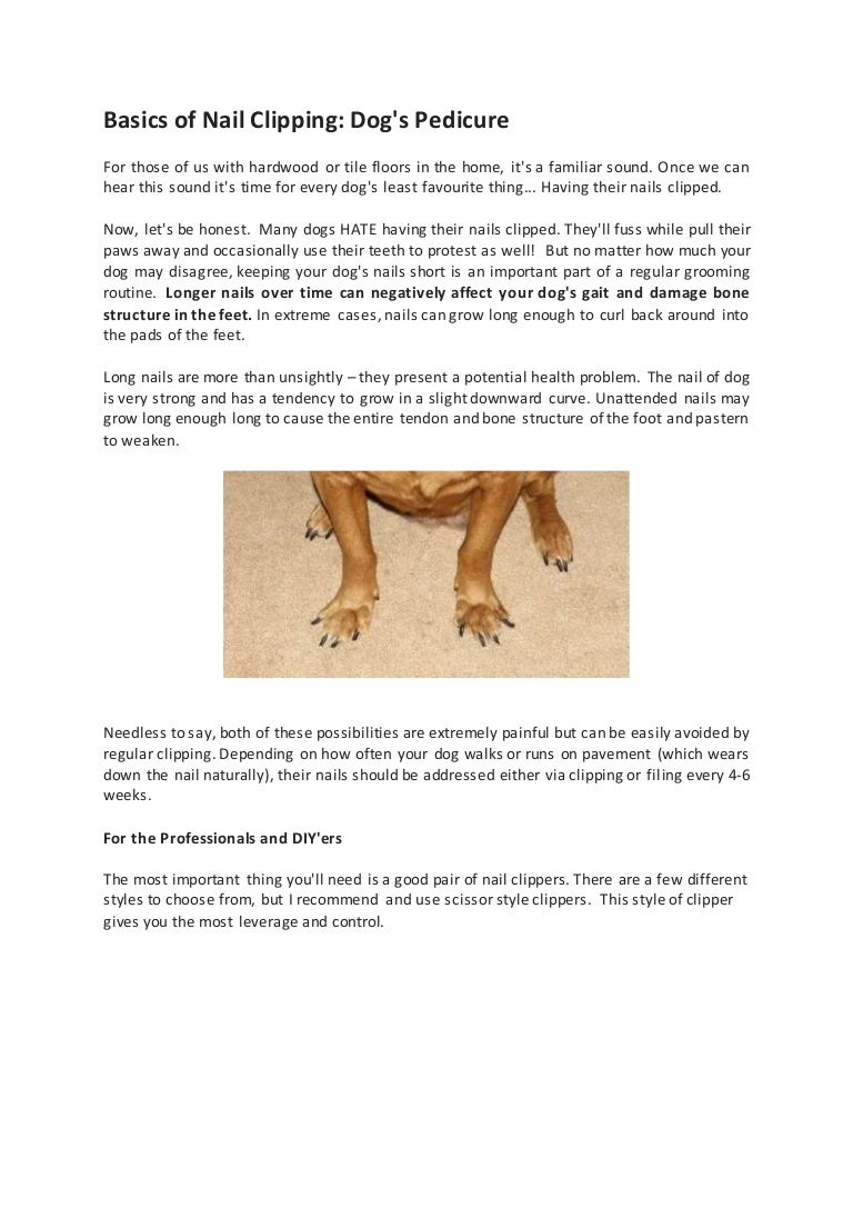 pawdicure nail trimmer