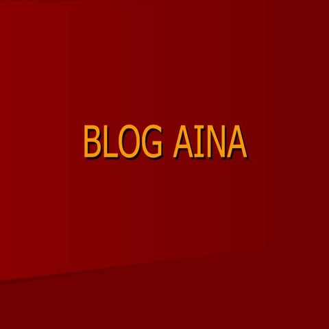 Blog aina