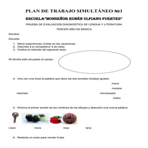 PRUEBAS DE DIAGNOSTICO