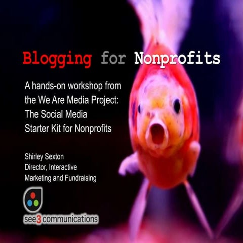 Nonprofit Blogging Sexton