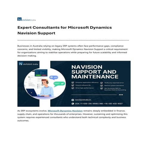 Expert Consultants for Microsoft Dynamics Navision Support | PDF