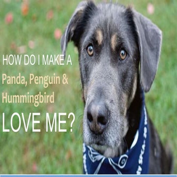 Advanced SEO - BlogPaws 2015