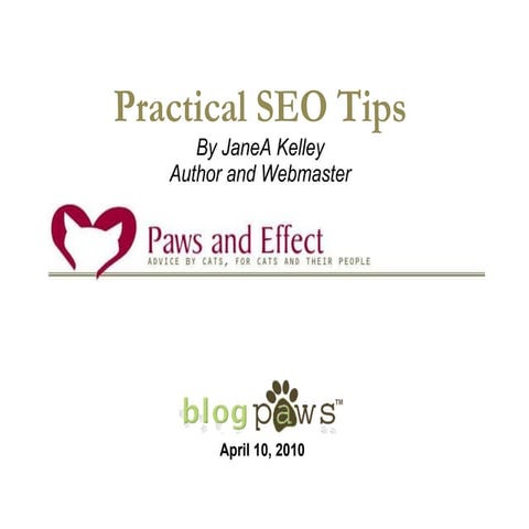 BlogPaws 2010 - SEO Tips: JaneA Kelley