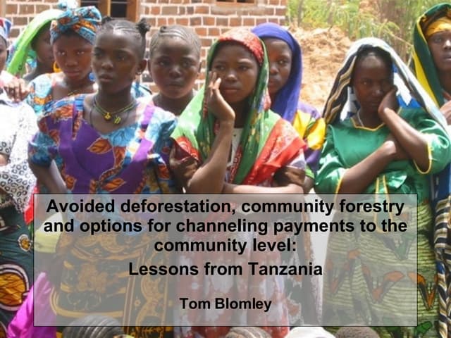 Avoided deforestation, community forestry and options for channeling payments to the community level
