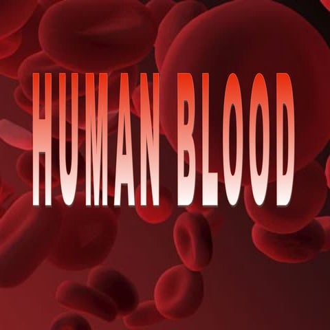 Blood