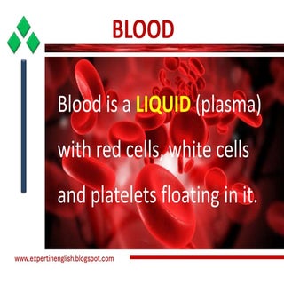 Blood