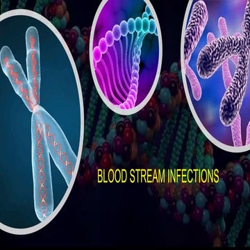 Final blood stream infection, department of microbiology | PPTX