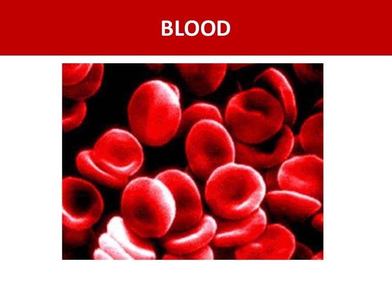 The Human Blood