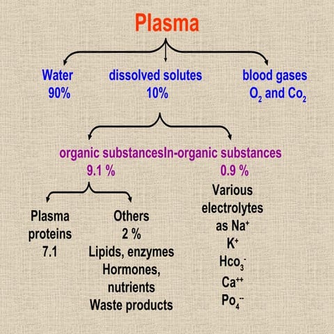 Blood #1, Plasma - Physiology