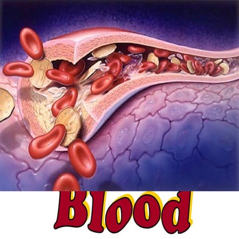 Blood - Composition and General Properties of Whole Blood.ppt
