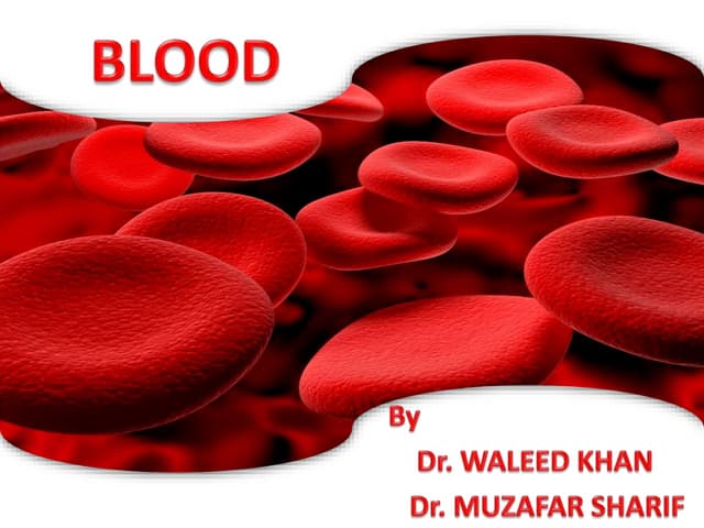 Blood anatomy