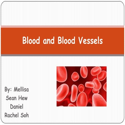 Blood and Blood Vessels