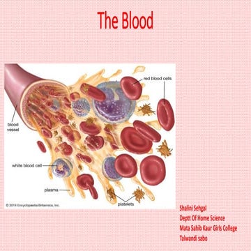 Blood visual data 8