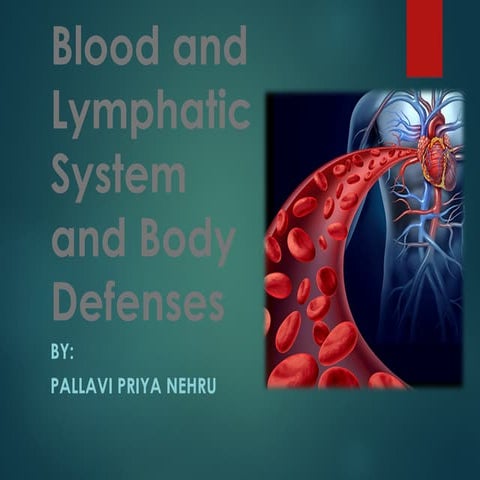 Comprehensive Overview of the Blood and Lymphatic Systems and Body ...