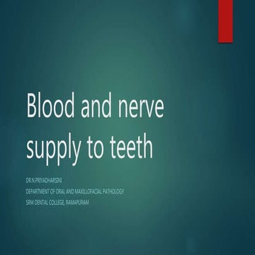 Blood and nerve supply of teeth