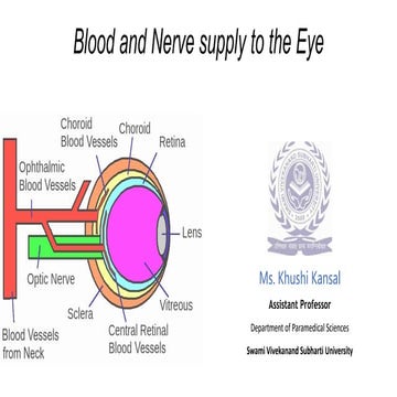 Blood and Nerve supply to the Eye.pptx