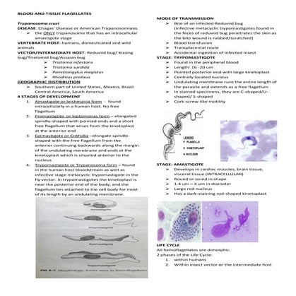 Blood and tissue flagellates 