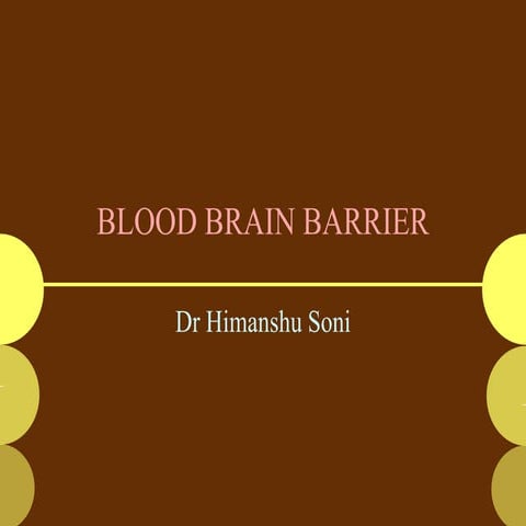 Blood brain barrier