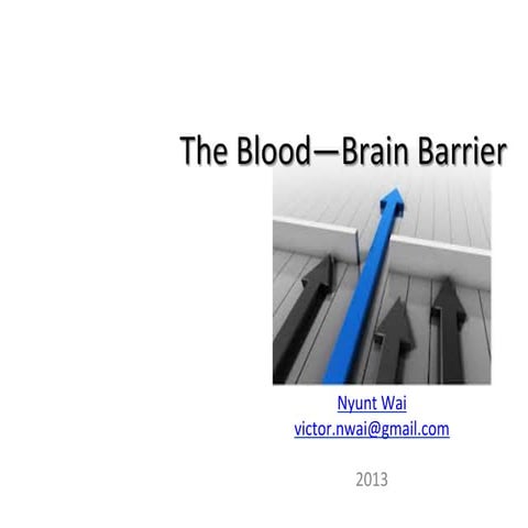 Blood brain barrier 2013_nw