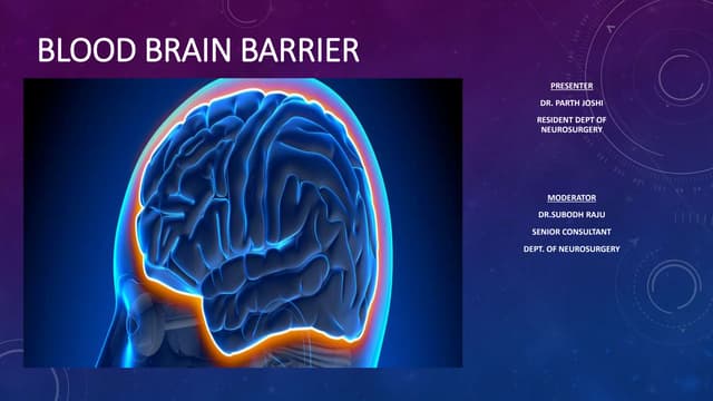 BLOOD BRAIN BARRIER | PPTX