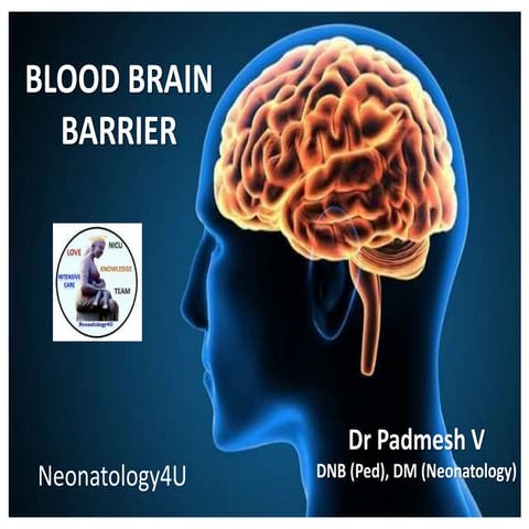 Blood Brain Barrier by Dr Padmesh V