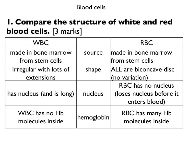 Blood Cell