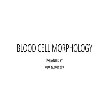Blood cell morphology