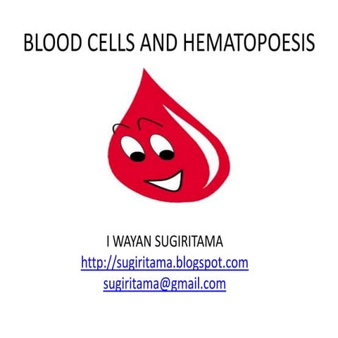 Blood cells and hematopoesis 