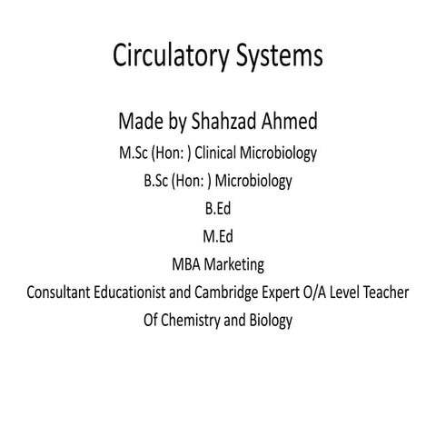 Blood circulatory sytem
