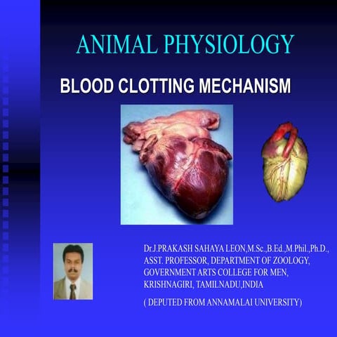 Blood clotting mechanism
